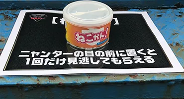 事例風景